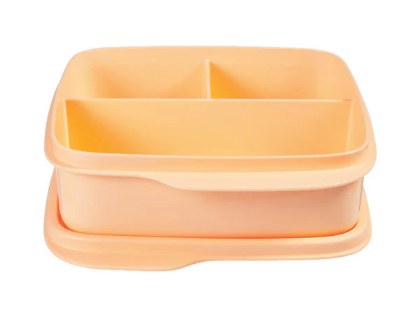 Orange container with compartments on a white background