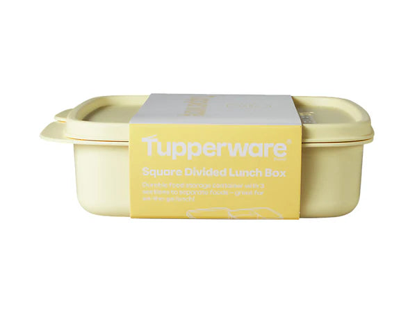 Tupperware square divided lunch box on a white background